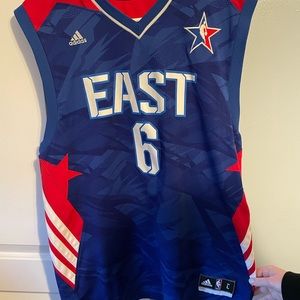 LeBron James Miami Heat All Star Jersey